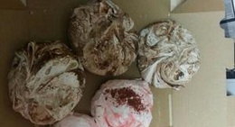 obrázek - Zanes Huutiņš 😍😼🙈