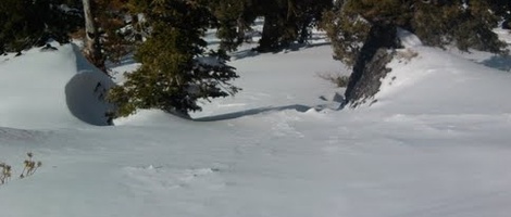 obrázek - Alpine Meadows