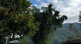 obrázek - สุดเขตประเทศไทย