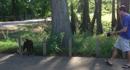 obrázek - Greenville Cypress Preserve