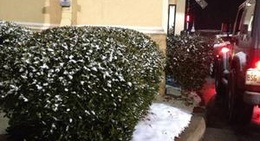 obrázek - Zaxby's Chicken Fingers & Buffalo Wings