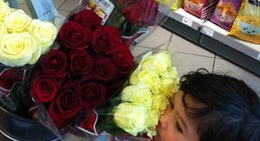 obrázek - Rema 1000