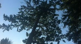 obrázek - Salmon Point Resort