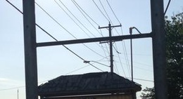 obrázek - Freds Fish House