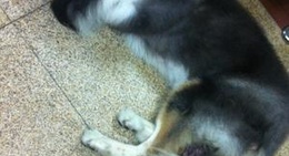 obrázek - Zhangzhou Jiulong Park