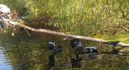 obrázek - Дачный кооператив "Физиолог-2"