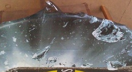 obrázek - TICKLES @ LIMANN