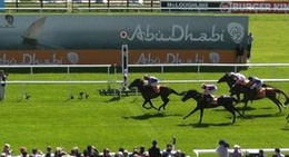 obrázek - The Curragh Racecourse