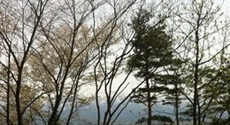 obrázek - 五十公野公園