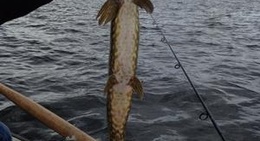 obrázek - Smedjebacken