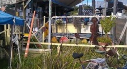 obrázek - Tom's Burned Down Cafe