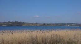 obrázek - Chew Valley picnic area