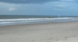 obrázek - Pine Knoll Shores