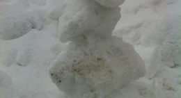 obrázek - Goldlauter