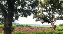 obrázek - Nauvoo, IL