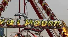 obrázek - Fantasy Island