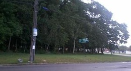 obrázek - Bosque Uirapuru