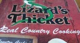 obrázek - Lizard's Thicket