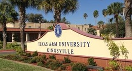 obrázek - Texas A&M University-Kingsville