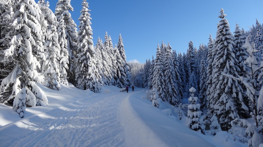 Chata/apartman Beldová - Okolo Mumlavy