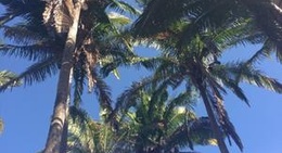 obrázek - Punta Monterrey