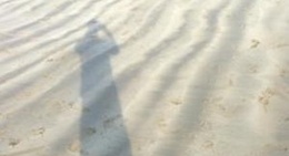 obrázek - Caseys Beach