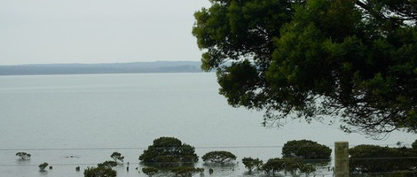 obrázek - Corinella