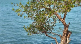 obrázek - Praia Veloude