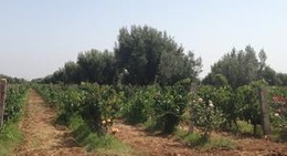 obrázek - Val D'Argan