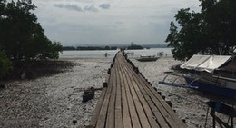 obrázek - Vanishing Island