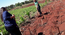 obrázek - Granja Cea