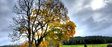 obrázek - Blaibach