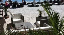 obrázek - Palm Beach