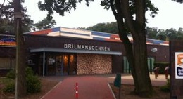 obrázek - Zwembad Brilmansdennen