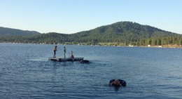 obrázek - Loon Lake