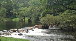 obrázek - Wang Takrai (อุทยานวังตะไคร้)