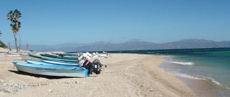 obrázek - El Sargento