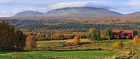 obrázek - Bruksvallarna