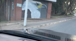 obrázek - Umgeni River Bird Park