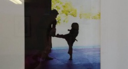 obrázek - Toms Martial Arts