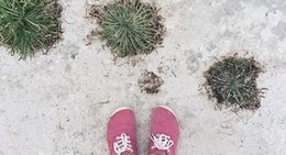 obrázek - Shelly Beach