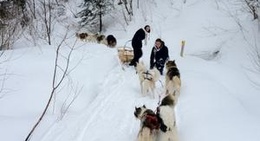 obrázek - Ferme 5 Etoiles