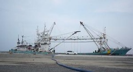 obrázek - 石巻漁港