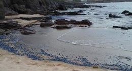 obrázek - Spiaggia di Portopaglietto