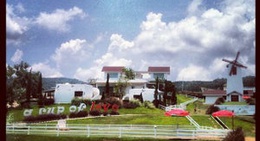 obrázek - A cup of love