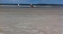 obrázek - Summerville Beach