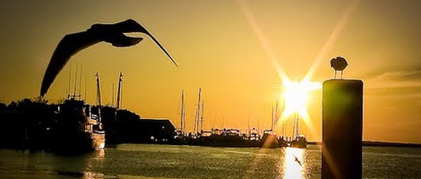 obrázek - Saint Marys