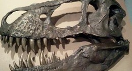 obrázek - Mesalands Dinosaur Museum