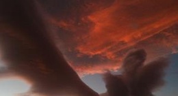 obrázek - Yucca Valley