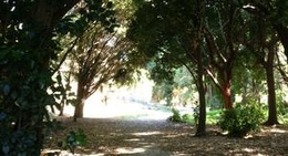 obrázek - Pakowhai Road Country Park